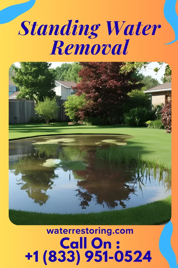 Standing Water Removal in Dix, IL